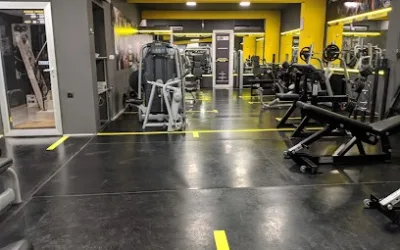 Best Gym