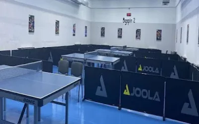 bgSpin 2 – stoni tenis