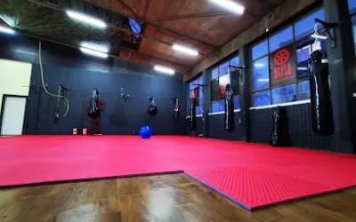 Borilački klub Perun