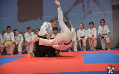 Centar realnog aikidoa Vokić