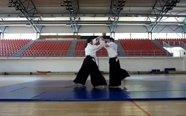 Centar za razvoj aikidoa / Center for Development of Aikido