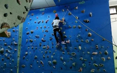 Climbing Gym Gekon