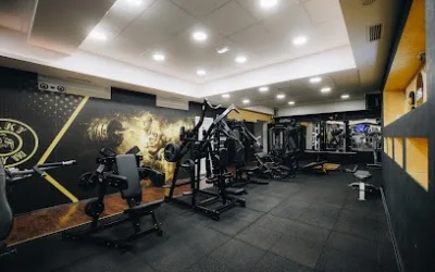 Deky Gym KG