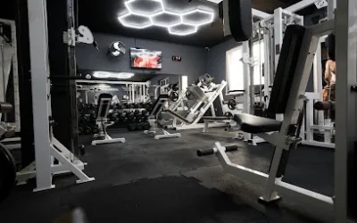 Fit fabrika