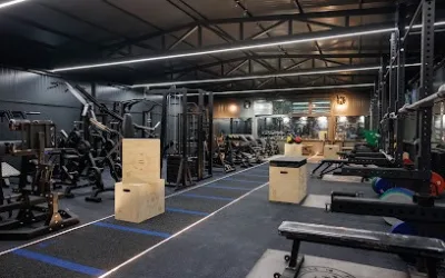 Fitness Club Force Fit