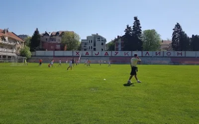 FK „Hajduk“ – Lion