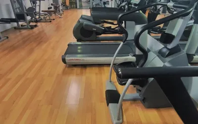 Forest fitness & gym