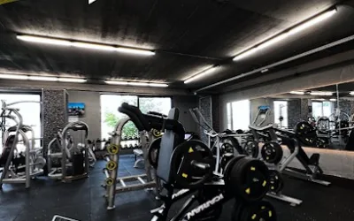 Human Performance Gym