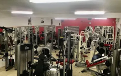 Iron Gym Trstenik