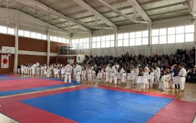 Karate klub Japan