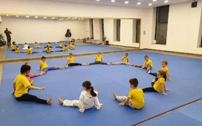 Karate Klub Srem