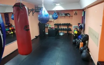 Kik boks klub „Novi Beograd – Blokovi“