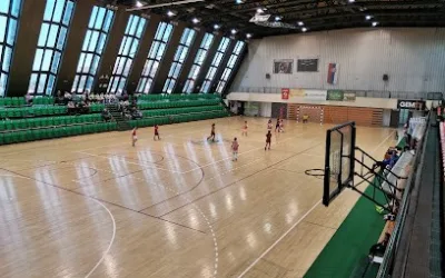 Košarkaški klub Kolubara LA 2003