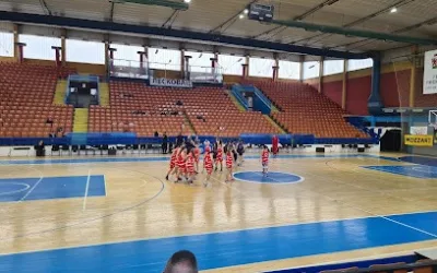 Košarkaški klub Zdravlje Leskovac