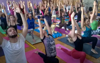 Vidya Yoga Škola yoge Dragana Lončara