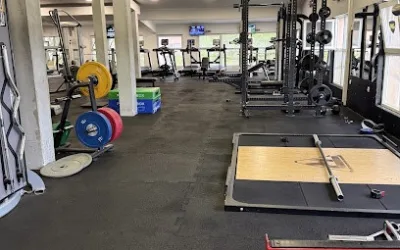 Mega Gym Zemun Polje