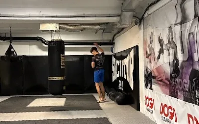 MMA & BJJ akademija Secutor