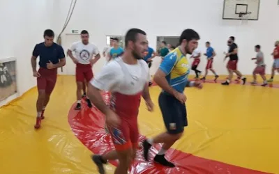 MMA tim Proleter