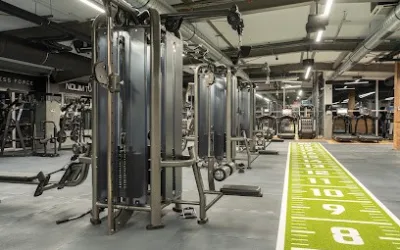 No Limit Gym Novo naselje
