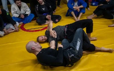Old School BJJ