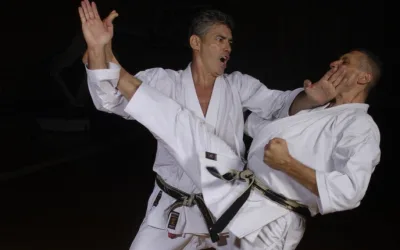 Karate klub Novi Sad
