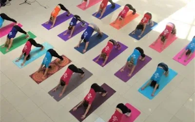 Soham joga studio
