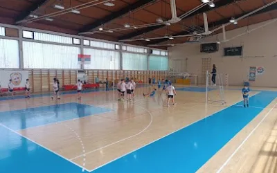 Sportska hala Aleksinac