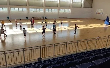 Sportski centar Partizan