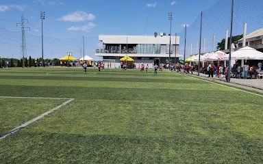 Sportsko fudbalsko udruženje Fenix (Feniks akademija 015)