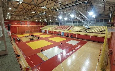 Srbobranska hala sportova
