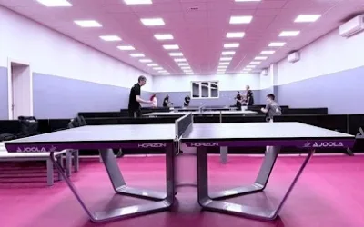 Table tennis school „Karakašević code“