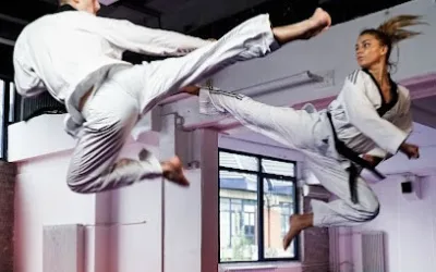 Taekwondo Club Radnički