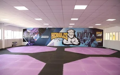 Taekwondo Klub HERKULES 2