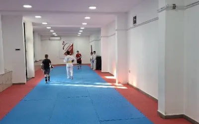 Taekwondo Klub Vojvodina
