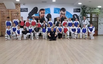 Tekvondo klub Obrenovac