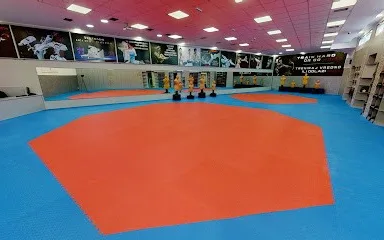 Tekvondo klub Pobednik