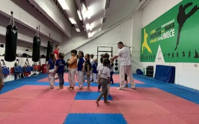 Tekvondo klub Taurunum