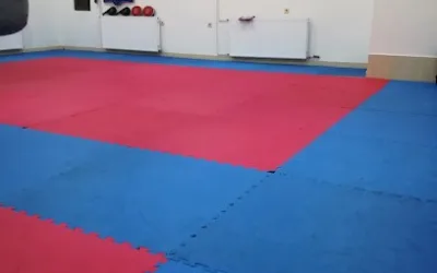 Tekvondo klub Tekvondo Akademija Kg