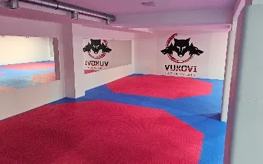 Tekvondo klub Vukovi