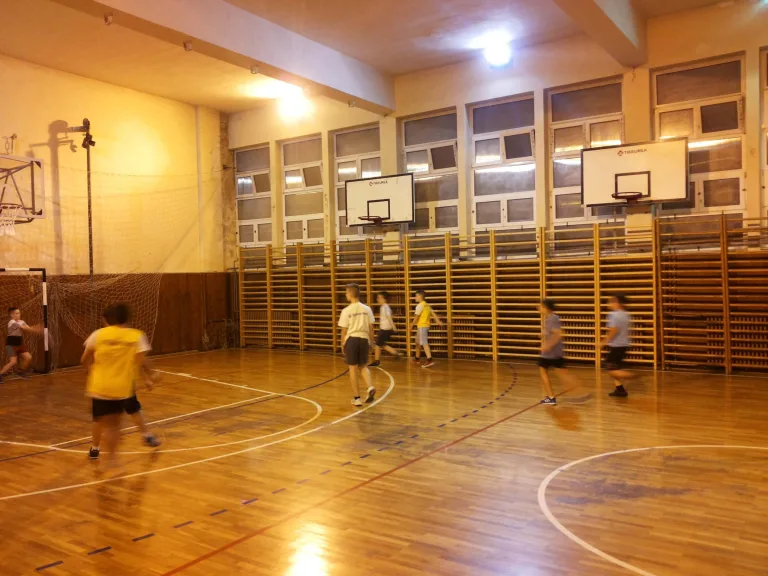 Sportsko udruženje Lavovi — izgled prostora, Beograd (Voždovac)