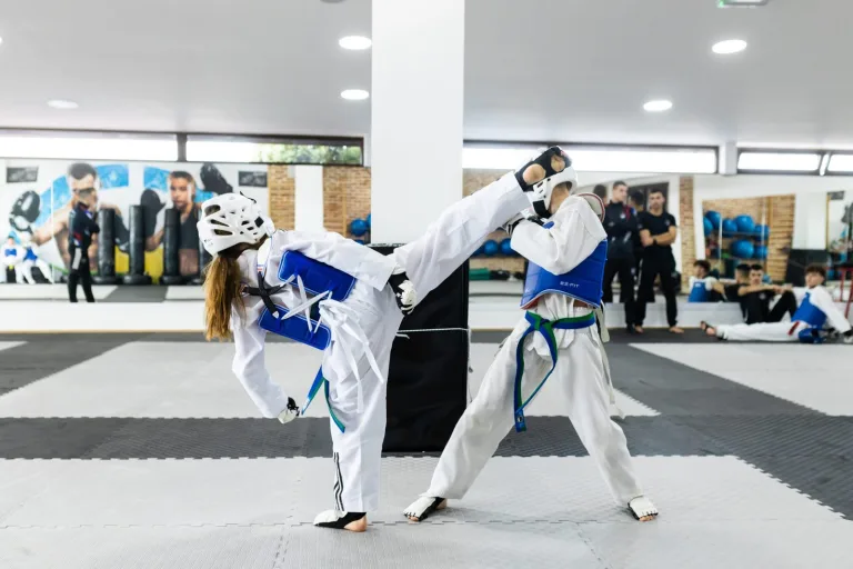 Tekvondo klub Obrenovac — trening u sali, Beograd (Obrenovac)